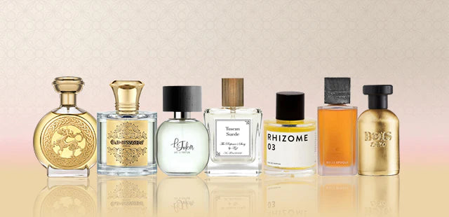 Popular store perfume brands